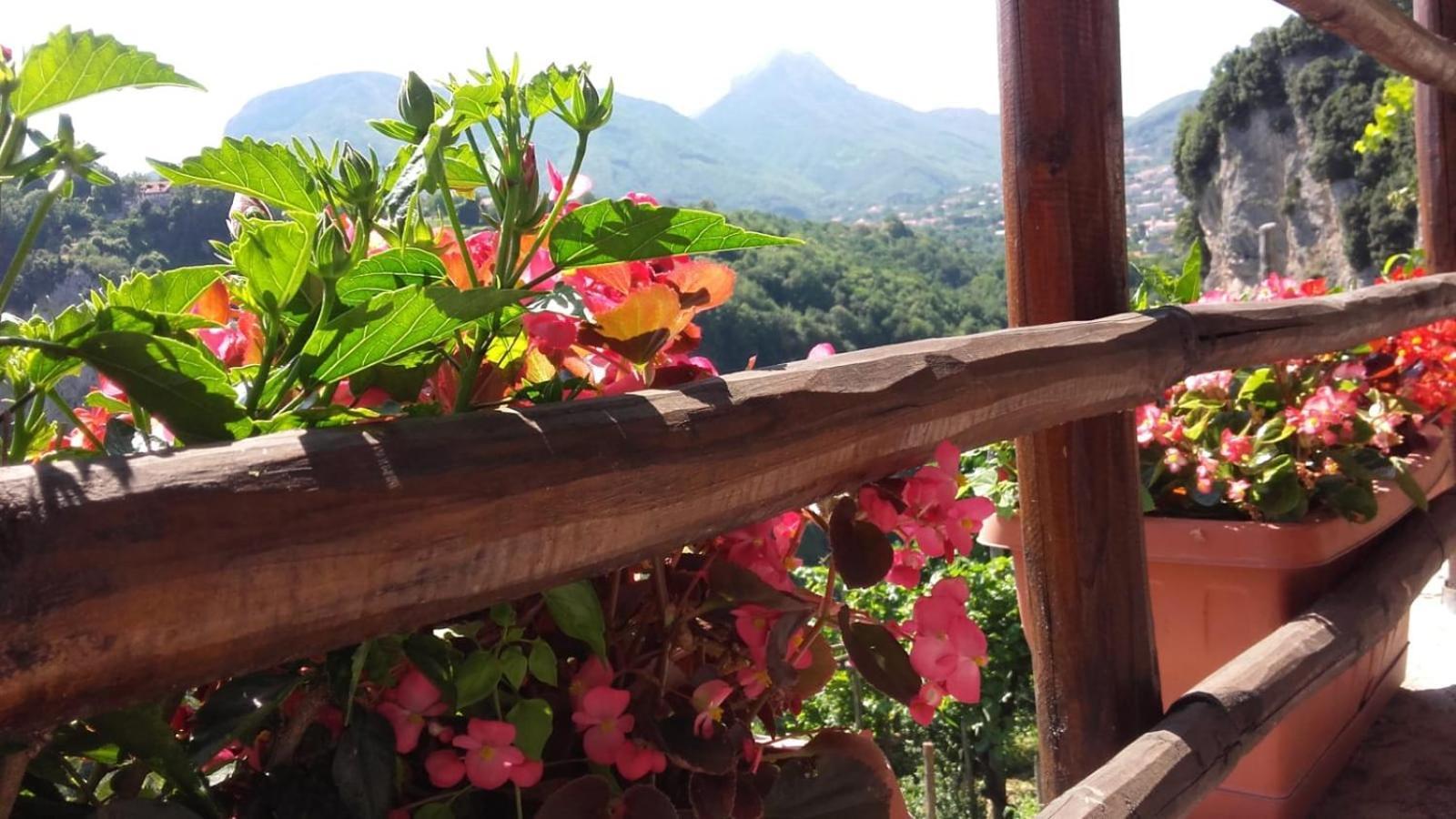 Agriturismo Orrido Di Pino Agerola Zewnętrze zdjęcie