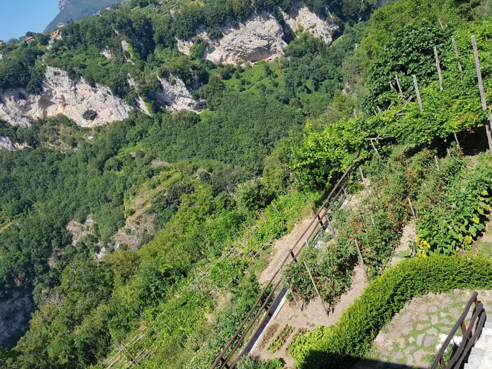 Agriturismo Orrido Di Pino Agerola Zewnętrze zdjęcie