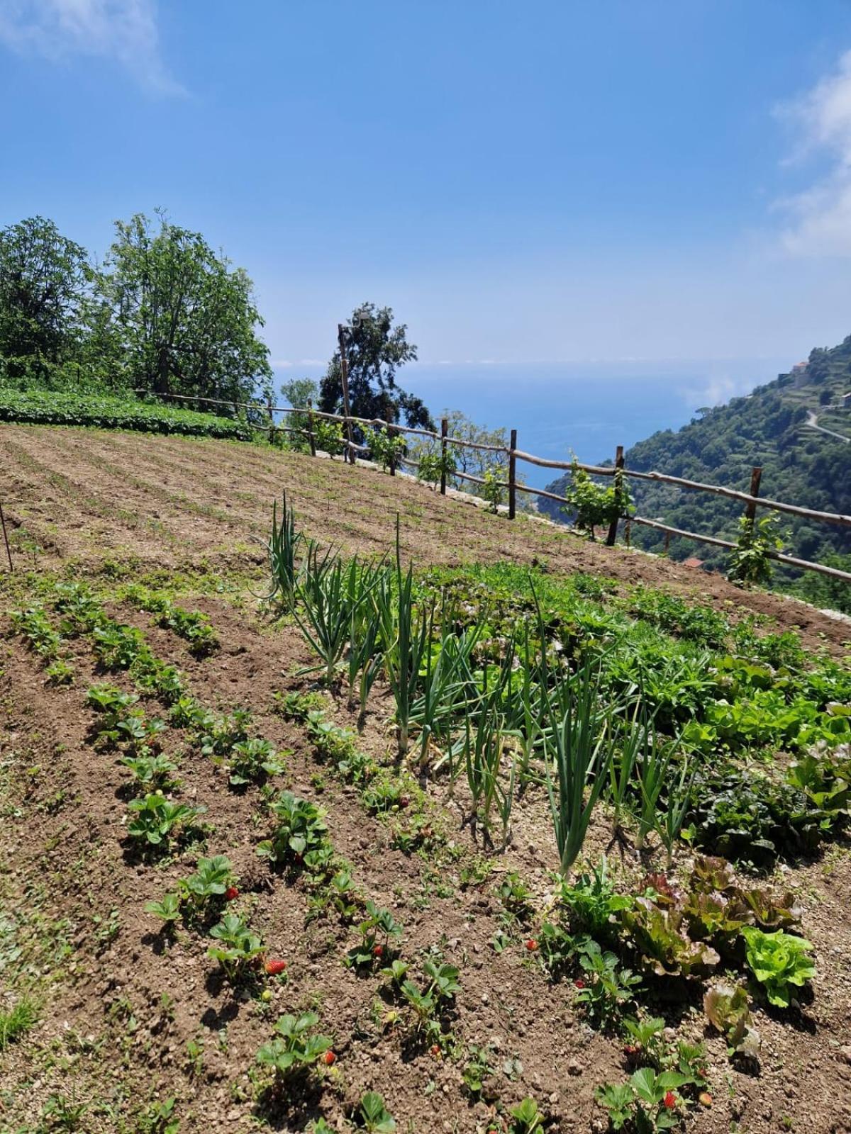 Agriturismo Orrido Di Pino Agerola Zewnętrze zdjęcie