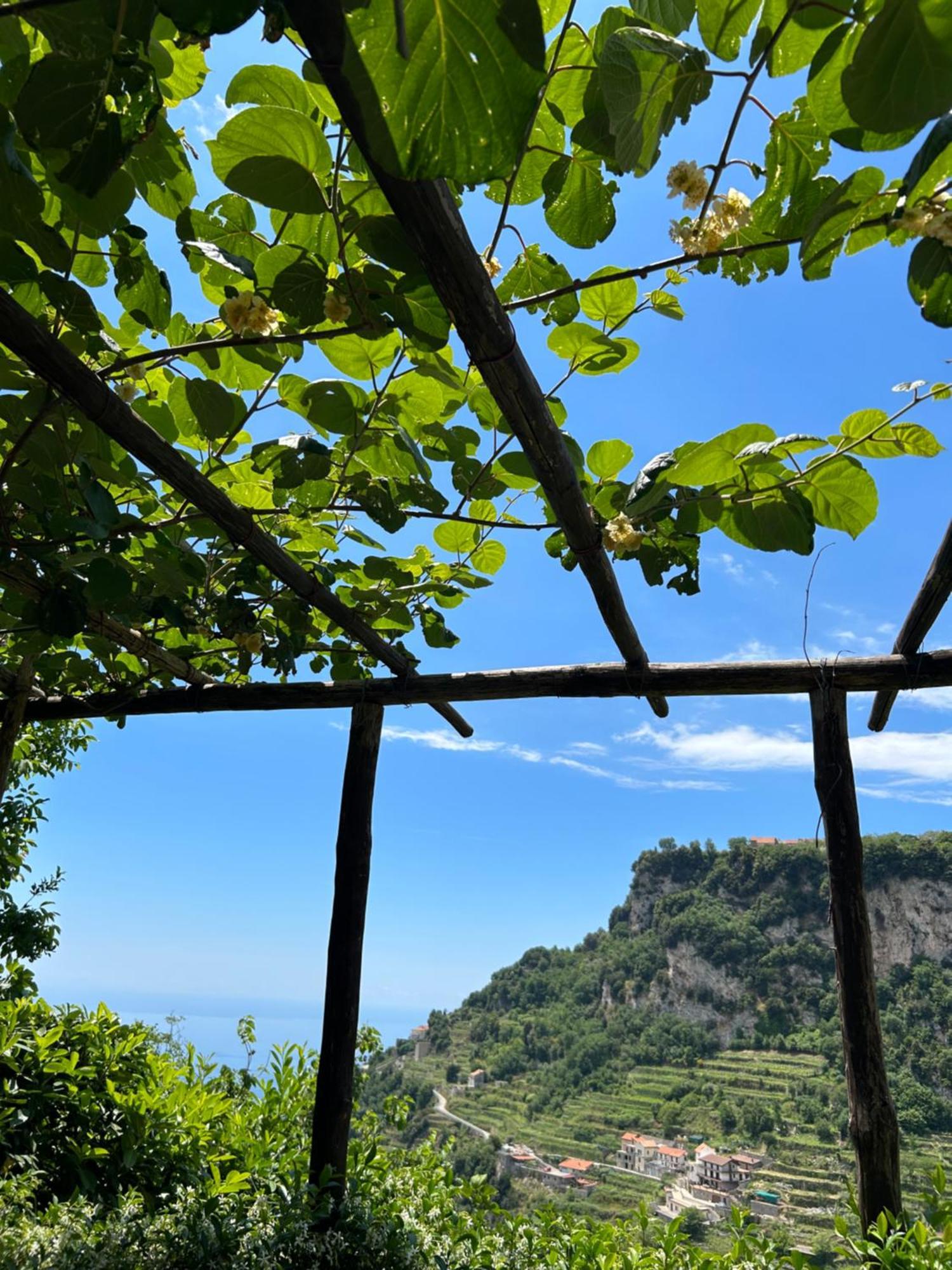Agriturismo Orrido Di Pino Agerola Zewnętrze zdjęcie