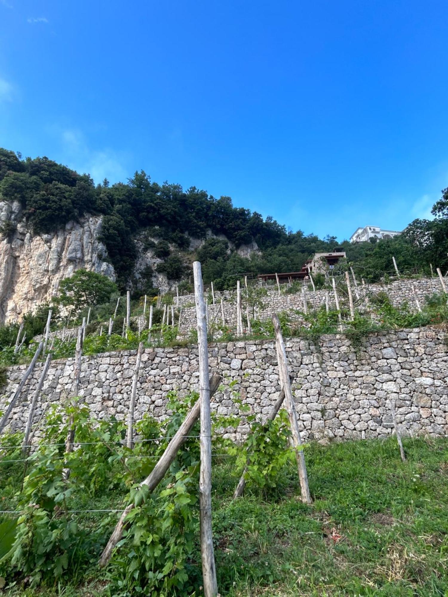 Agriturismo Orrido Di Pino Agerola Zewnętrze zdjęcie