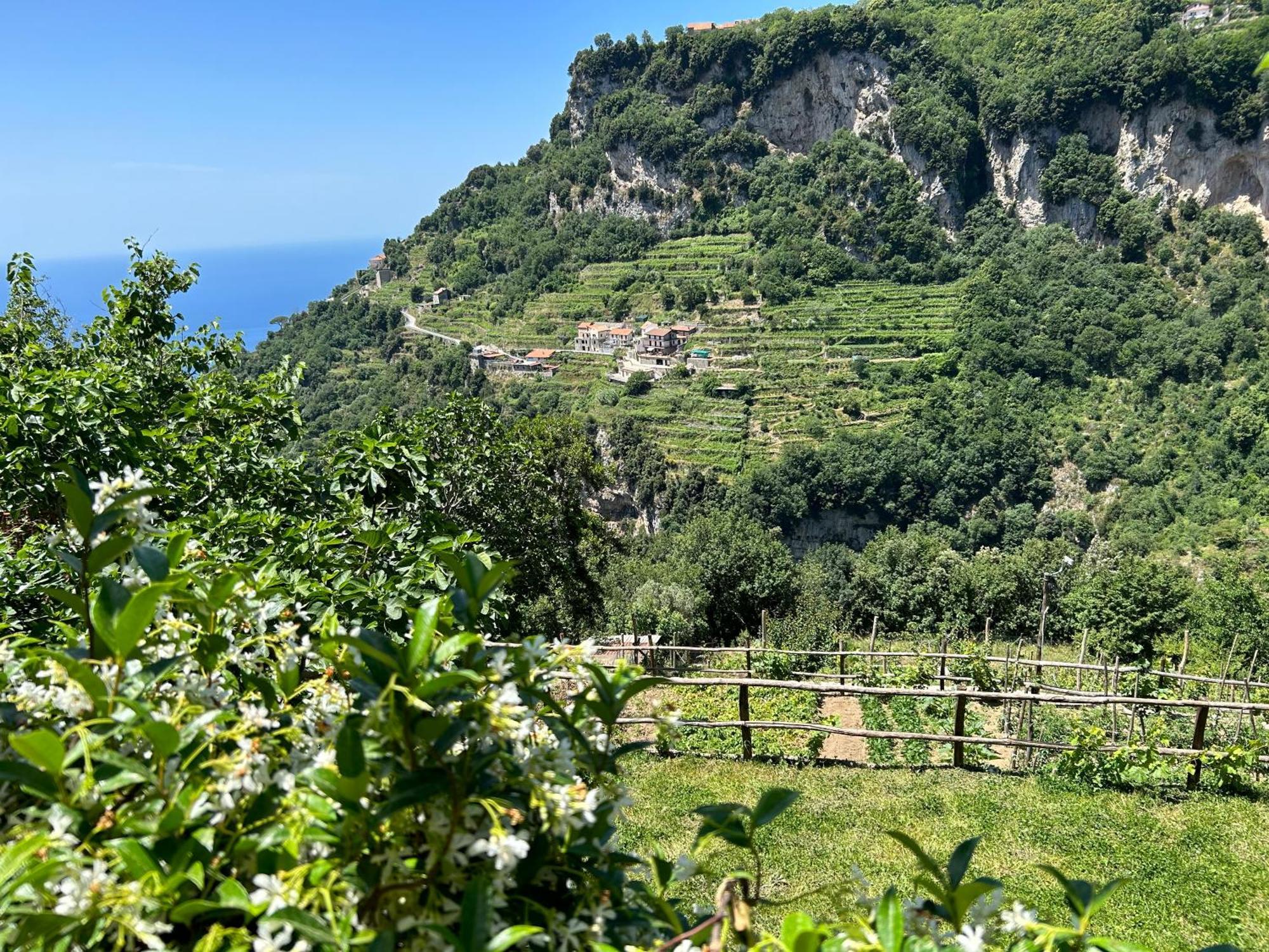 Agriturismo Orrido Di Pino Agerola Zewnętrze zdjęcie