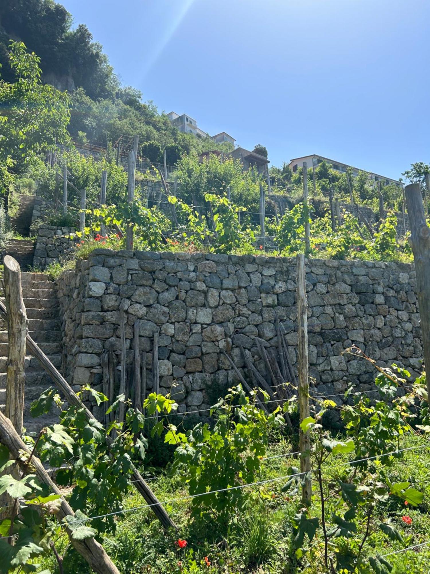 Agriturismo Orrido Di Pino Agerola Zewnętrze zdjęcie