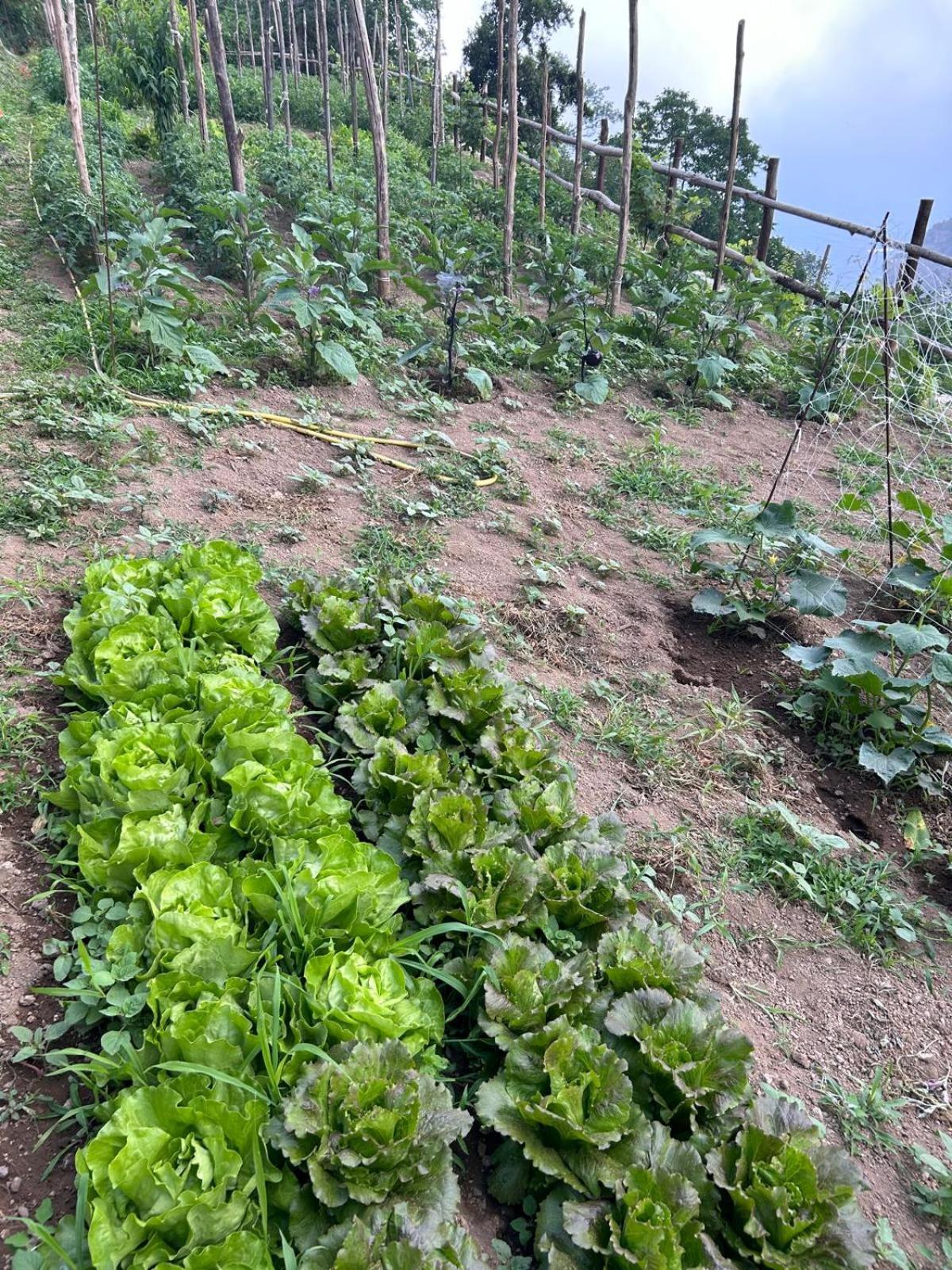 Agriturismo Orrido Di Pino Agerola Zewnętrze zdjęcie
